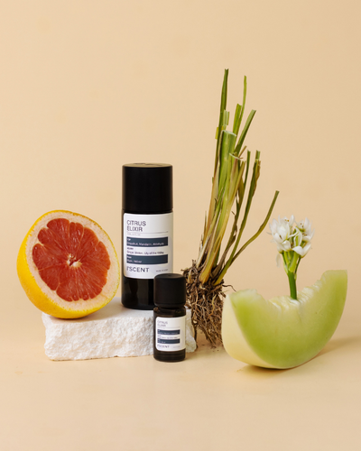 The Definitive Citrus Fragrance Buying Guide: Remastering Freshness for 2026