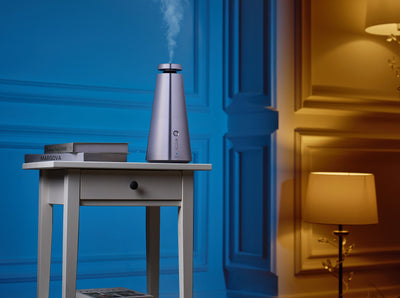 5 Pro-Tips to Perfect Your I°SCENT Experience