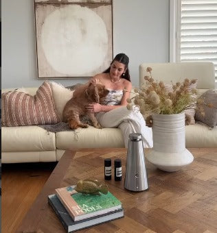 Best Scent Diffuser for Pet Odors: The 2026 Luxury Guide to a Fresh Home