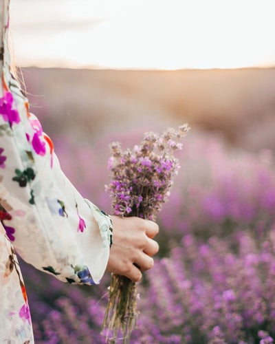 Floral Scenting Guide 2026: Remastering Your Home with Botanical Elegance