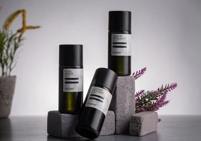 The Ultimate Guide to Woody Fragrances: Remastering Your Home Atmosphere